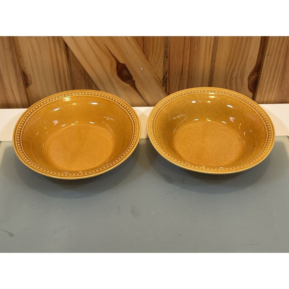 2-Pier 1 Imports Spice Route Ginger Soup/Cereal/Pasta Bowls 8-1/8” Beaded Edge
